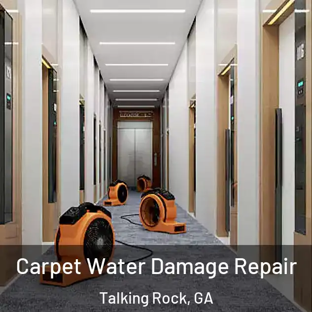  Carpet Water Damage Repair Talking Rock, GA