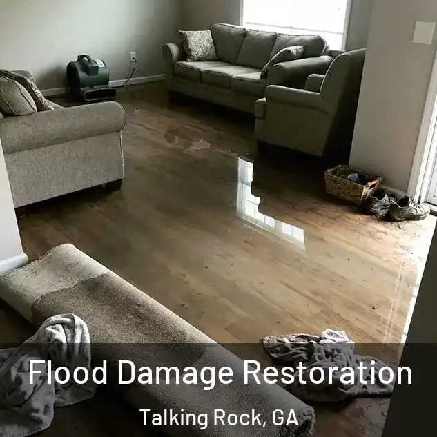  Flood Damage Restoration Talking Rock, GA