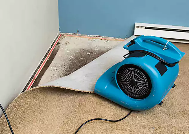 Your Water Damage Experts in Talking Rock, GA