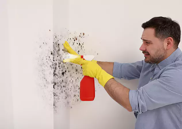 Your Water Mold Fire Restoration Partner in Talking Rock, GA