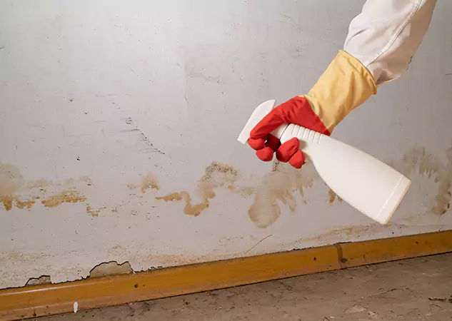 Your Water Restoration and Mold Remediation Specialists in Talking Rock, GA