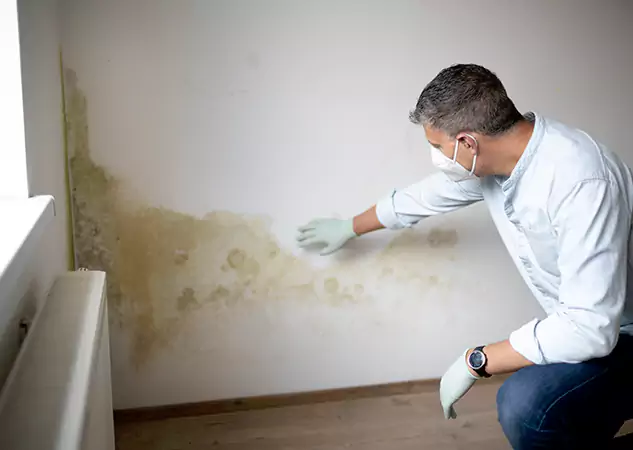 Reach Our Remediation Team Before Damage Grows in Talking Rock, GA!