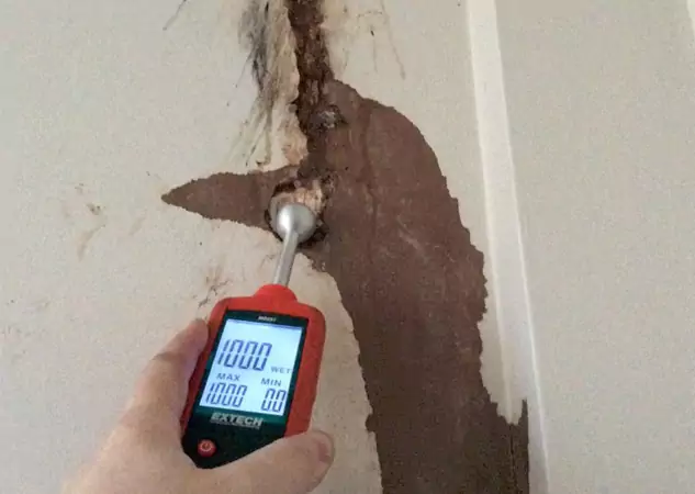 Your Water Damage Assessment Partner in Talking Rock, GA