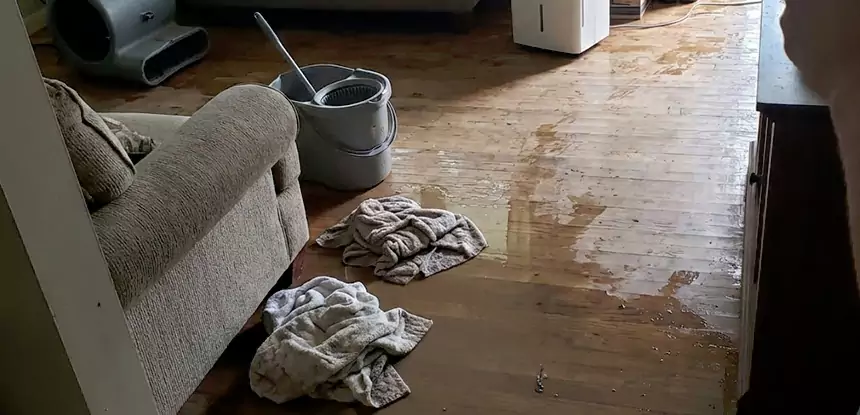 Professional Basement Water Remediation Services in Talking Rock, GA