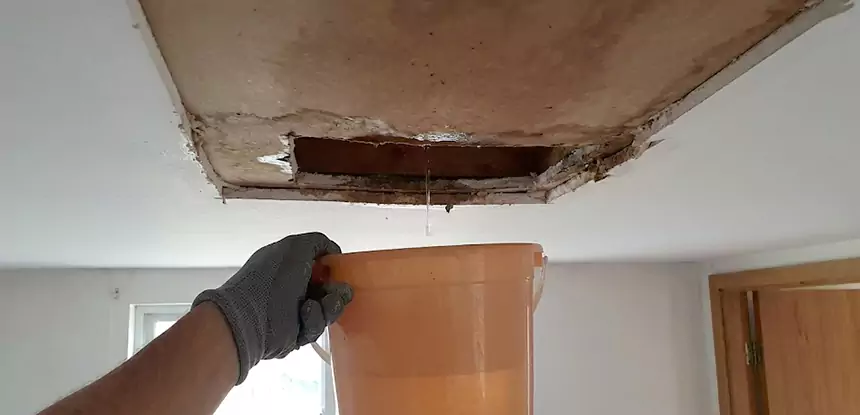 Ceiling Mold Repair Talking Rock