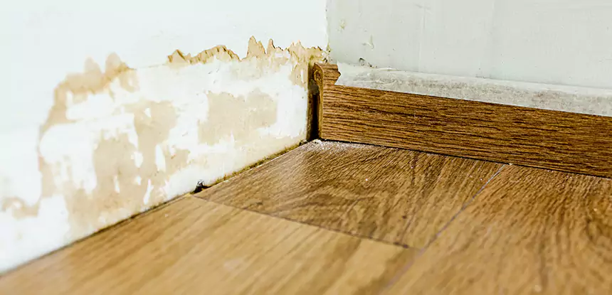 Professional Fix Water Damaged Wood Services in Talking Rock, GA