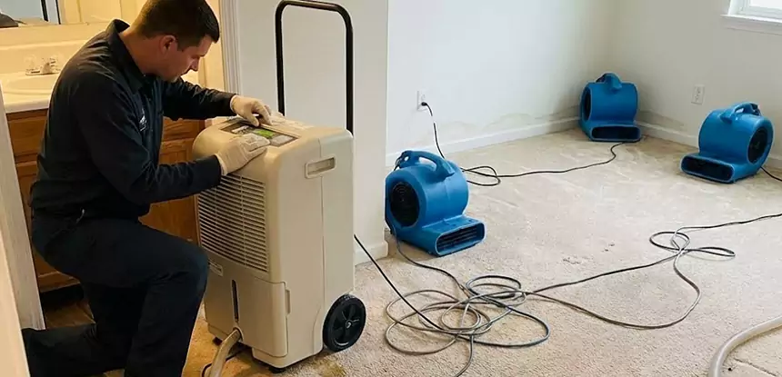Professional Wet Carpet Removal Services in Talking Rock, GA