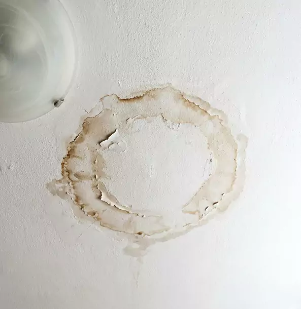 Why Talking Rock Property Owners Choose Talking Rock Restoration Pro for Ceiling Water Damage Restoration?