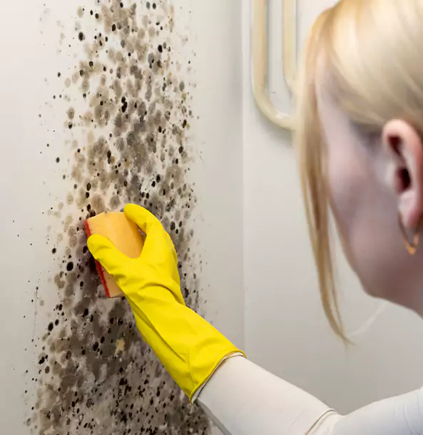 Why Talking Rock Restoration Pro Leads Mold Remediation in Talking Rock?