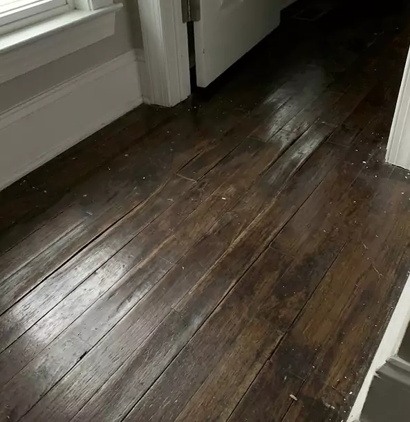 Why Talking Rock Homeowners Trust Talking Rock Restoration Pro to Fix Water Damaged Wood?