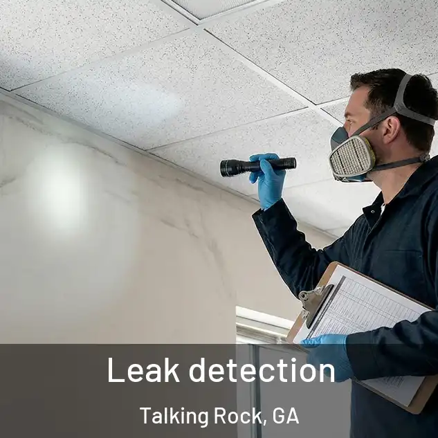  Leak detection Talking Rock, GA