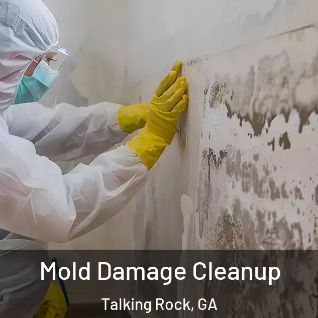  Mold Damage Cleanup Talking Rock, GA