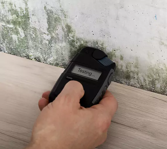 Mold Remediation Service Talking Rock