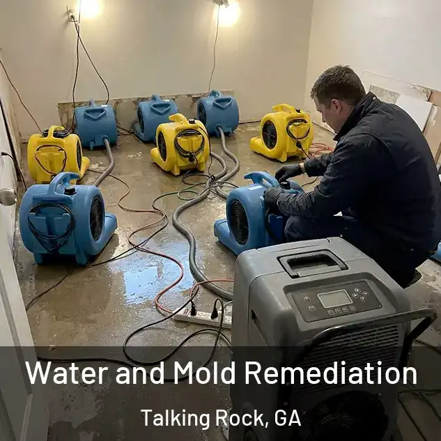  Water and Mold Remediation Talking Rock, GA