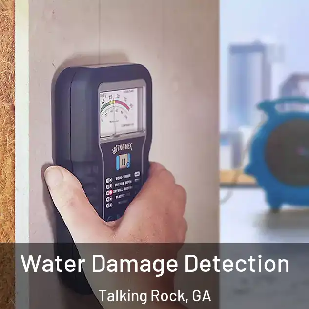  Water Damage Detection Talking Rock, GA