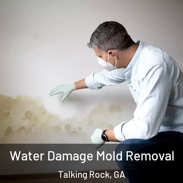  Water Damage Mold Removal Talking Rock, GA