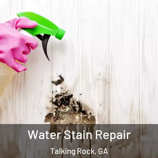  Water Stain Repair Talking Rock, GA