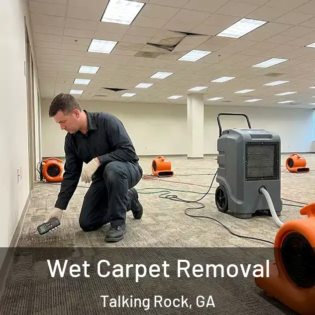  Wet Carpet Removal Talking Rock, GA